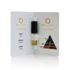 Dubai Dreams Tester